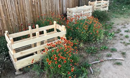 Quick project – planters out of Pallets