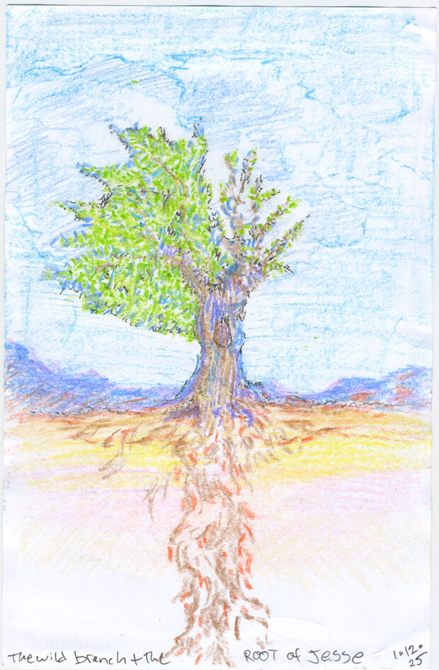 imag of an olive tree with a barren branch and a full branch. the tree has roots traching into the ground and the image forms a cross.