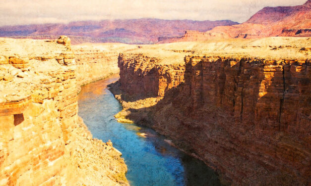 Zealotry is Apparently Not for Everyone