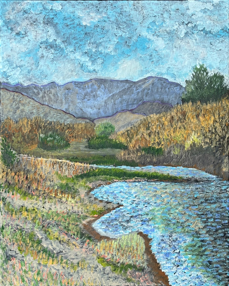 Looking South from Riverbed at Ambrose Carson River Natural Area