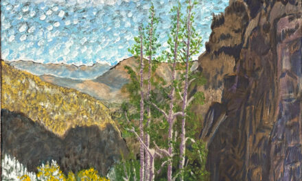 View from Old Clear Creek Road in Carson City