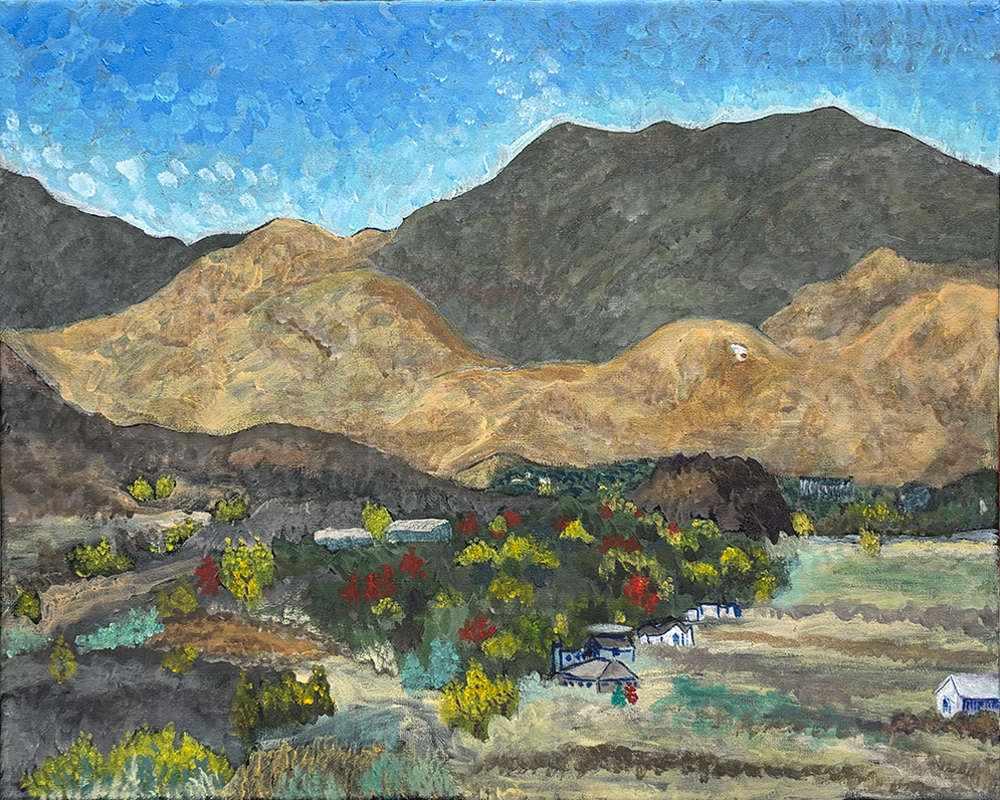 View of Carson City from Deer Run Road